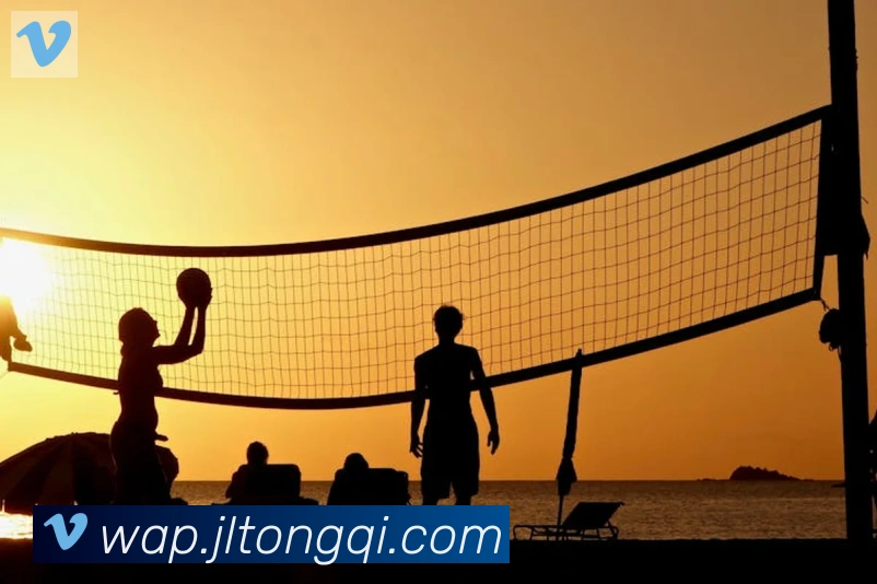 ayx在线登录入口平台生态图