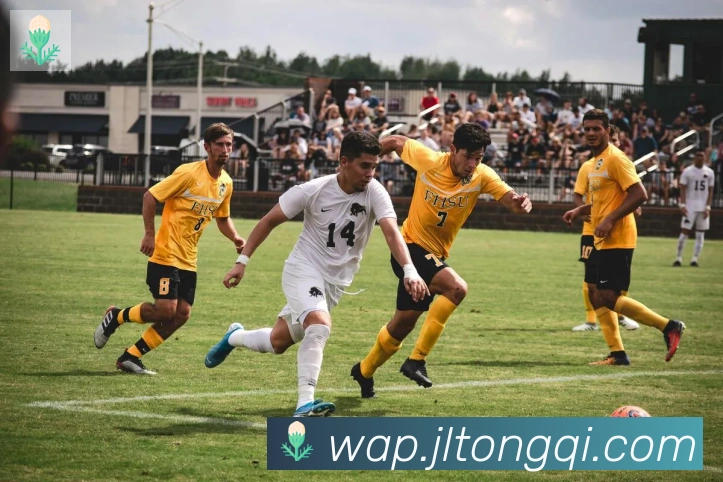 ayx在线登录入口荣誉